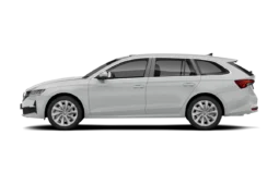 
										Skoda Octavia 1.5 TSI mHEV Drive Selection DSG full									